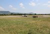 IMG_5960